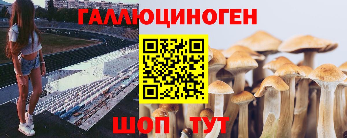 Псилоцибиновые грибы прущие грибы  Псилоцибиновые грибы Cubensis  Вход с VPN  где продают   Усть-Джегута 