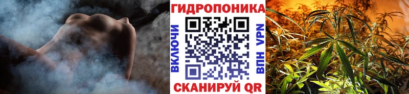 Шишки марихуана THC 21% Усть-Джегута
